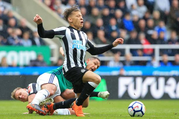 他们在球场 他们在球场